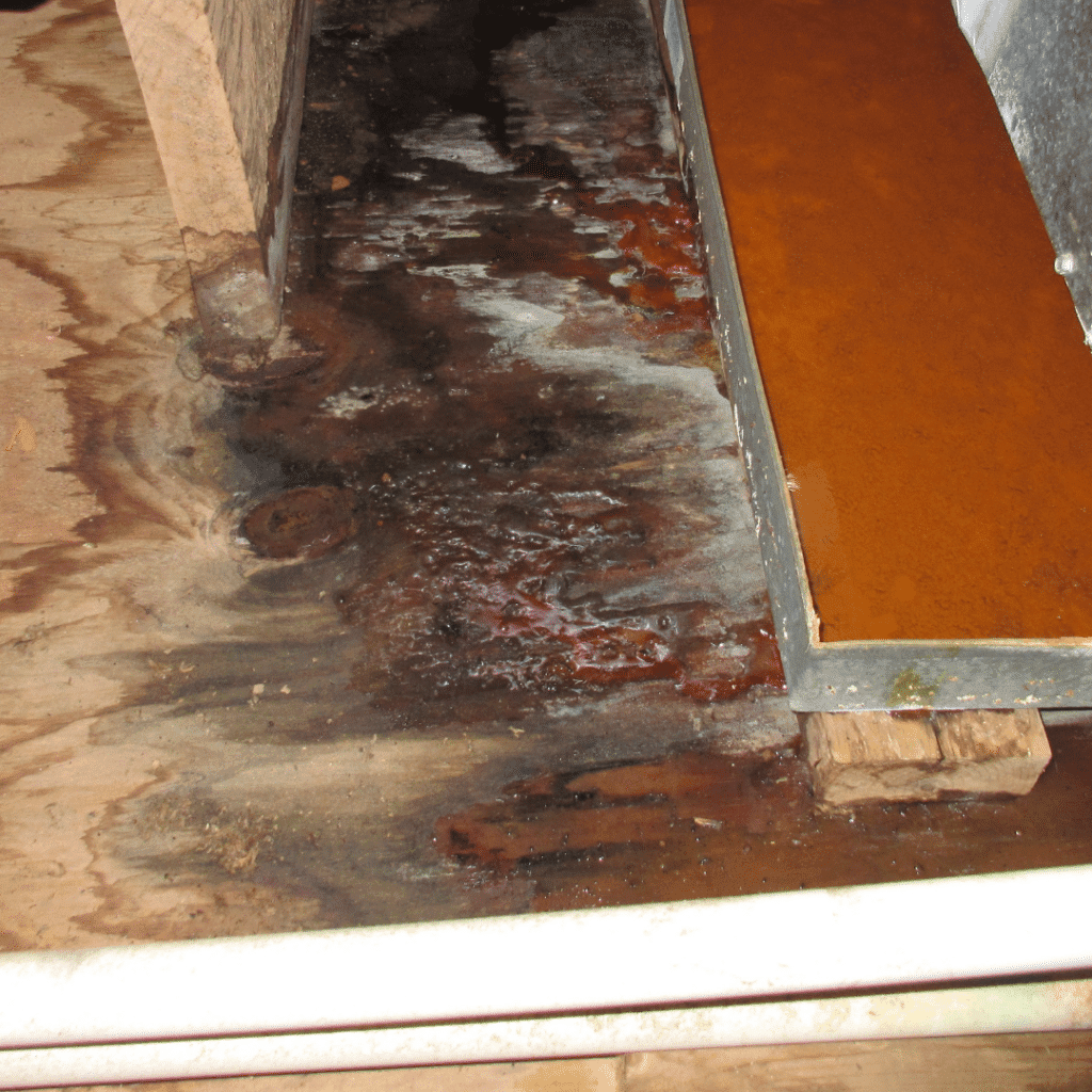Why Ignoring a Clogged Drain Could Be Disastrous for Your Home 1 water damaged floor